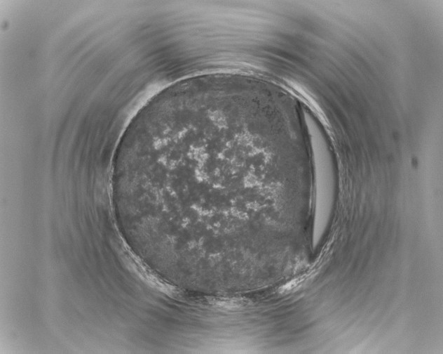 X0000059240899200510281928