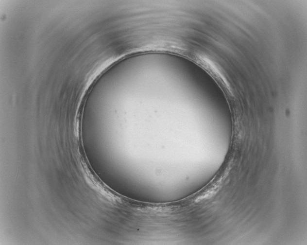 X0000059240900200510281928