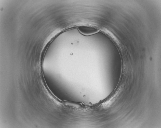 X0000059240902200510281927