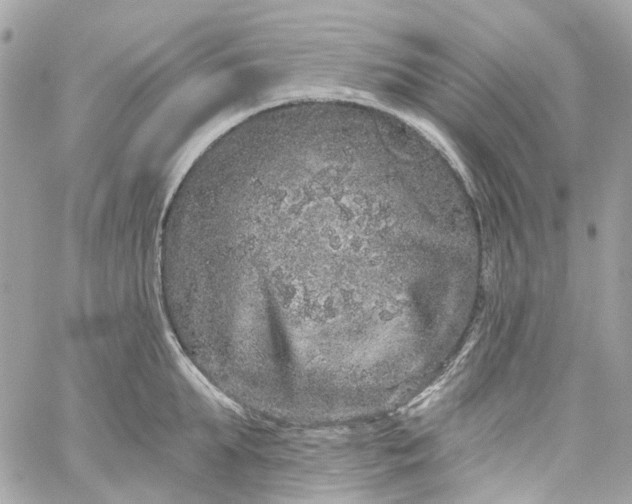 X0000059240903200510281927