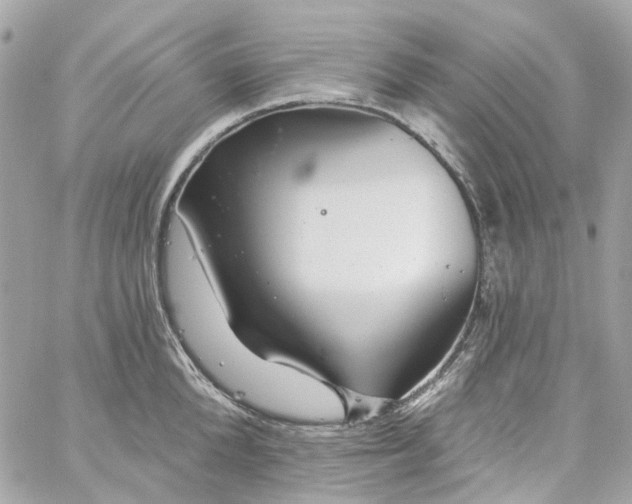 X0000059240904200510281927