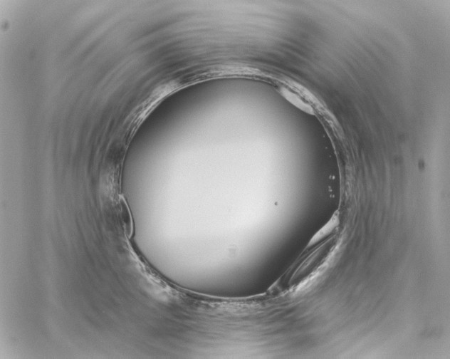 X0000059240905200510281927