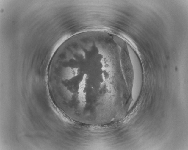 X0000059240907200510281927