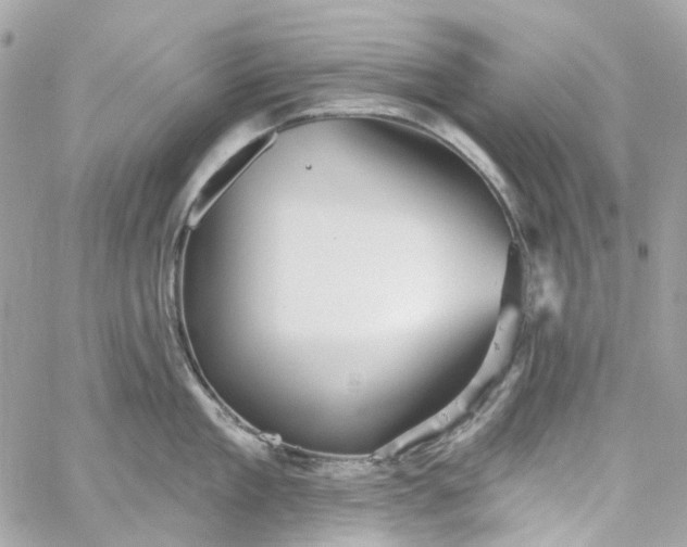 X0000059240909200510281927