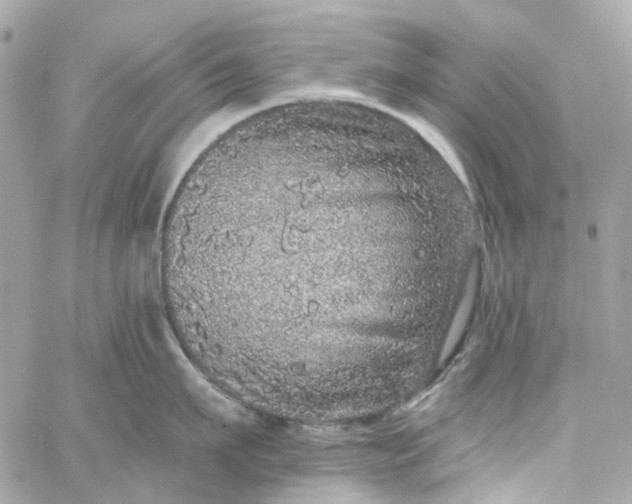 X0000059240911200510281927