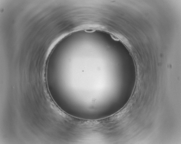 X0000059240912200510281927