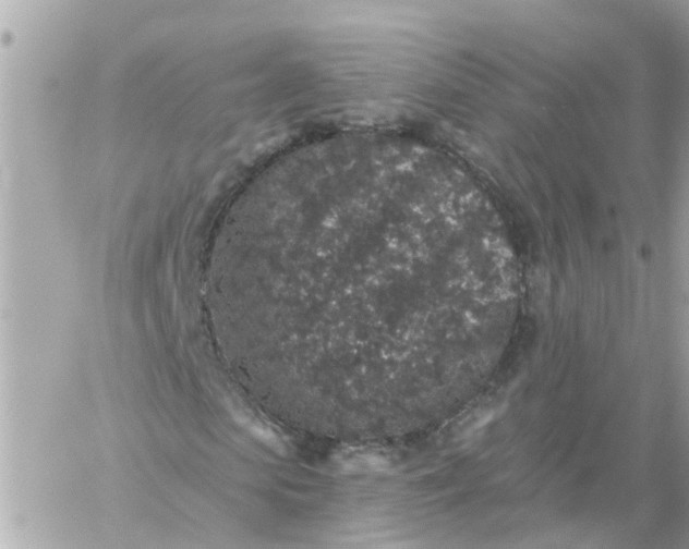 X0000059240913200510281927