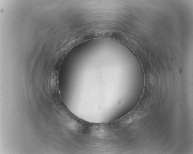 X0000059240914200510281927