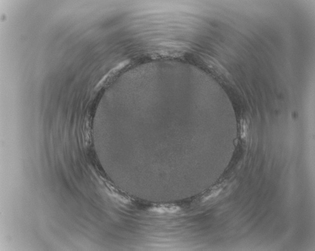 X0000059240915200510281927