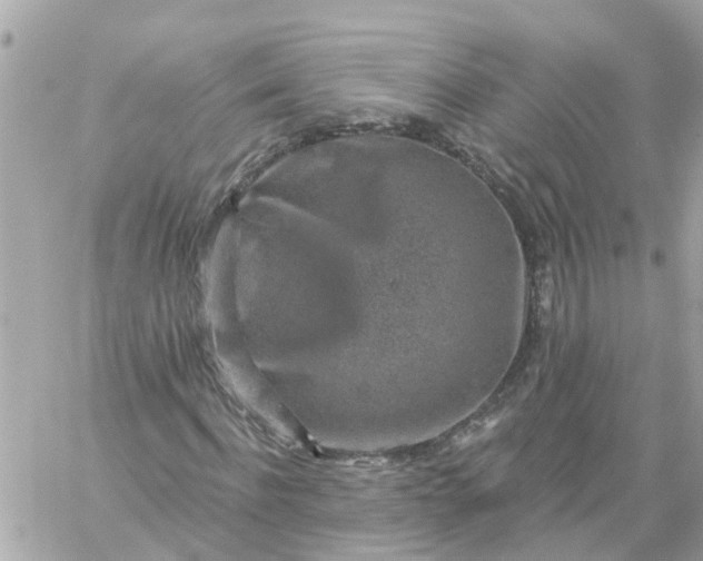 X0000059240916200510281927