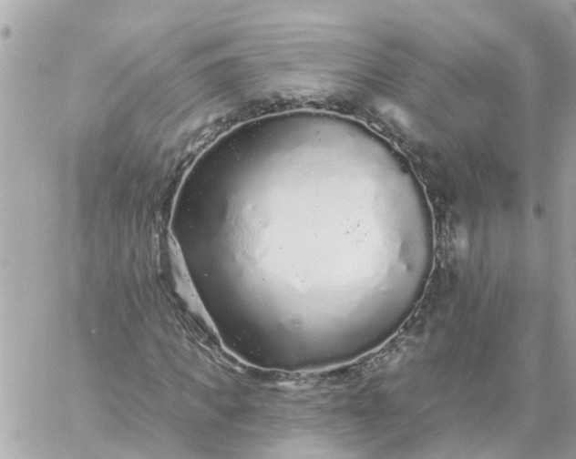 X0000059240917200510281927