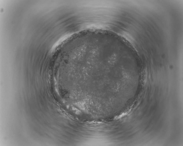 X0000059240919200510281927