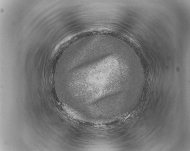 X0000059240920200510281927