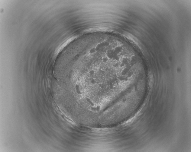 X0000059240921200510281927