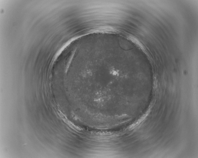 X0000059240923200510281927