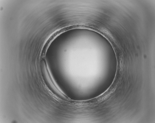 X0000059240924200510281927