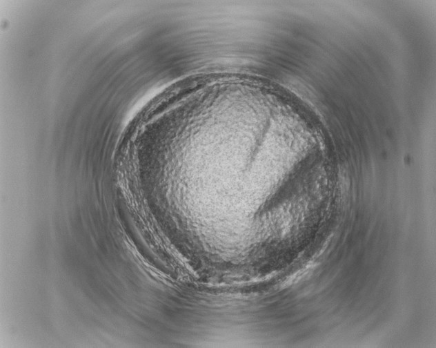 X0000059240925200510281927