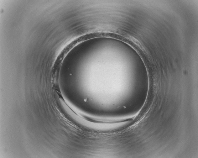 X0000059240926200510281927