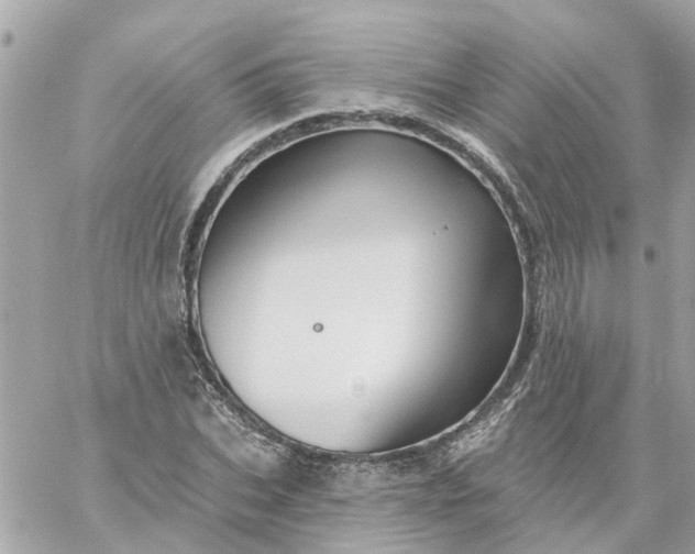 X0000059240927200510281927