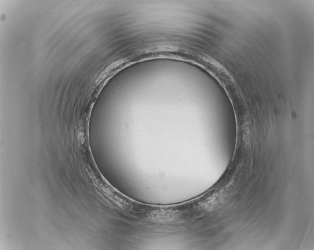 X0000059240929200510281927