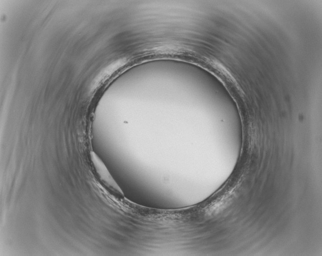 X0000059240930200510281927