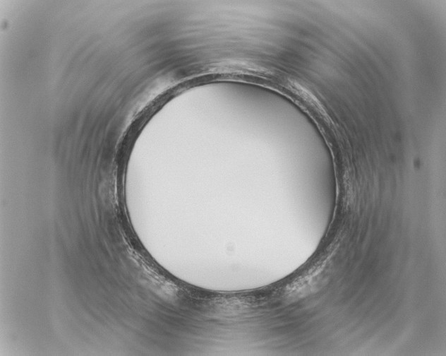 X0000059240931200510281927