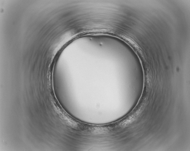 X0000059240933200510281927