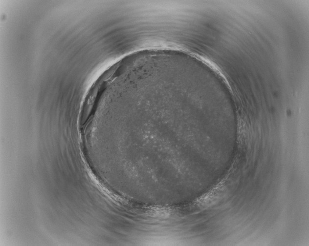 X0000059240935200510281927