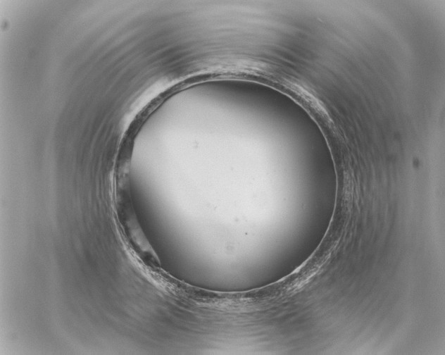 X0000059240936200510281927