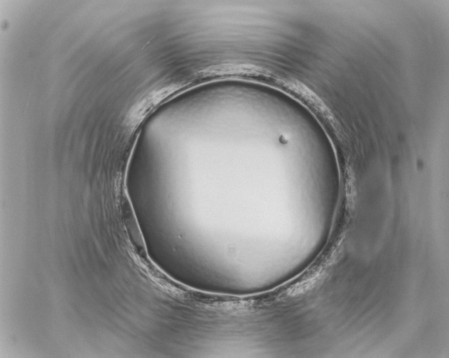 X0000059240937200510281927