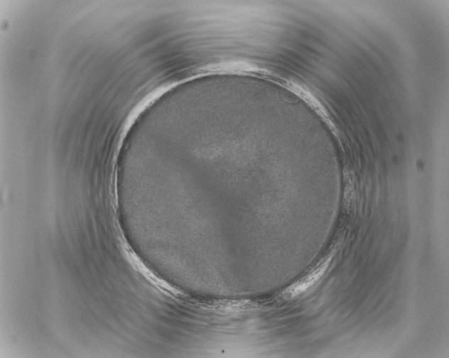 X0000059240939200510281927