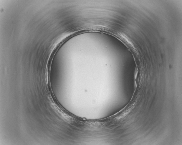 X0000059240940200510281927