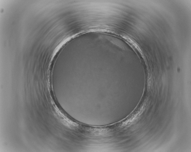 X0000059240941200510281927