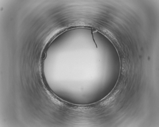 X0000059240942200510281927