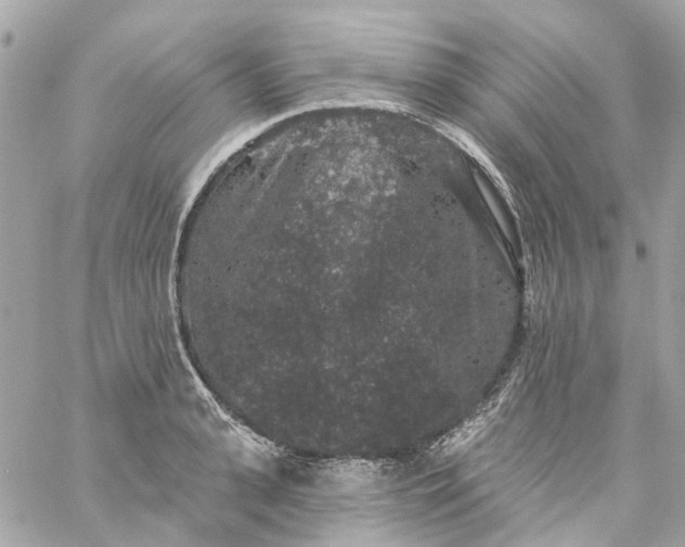 X0000059240943200510281927