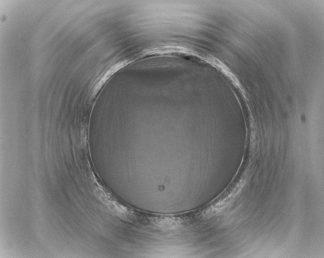 X0000059240945200510281927