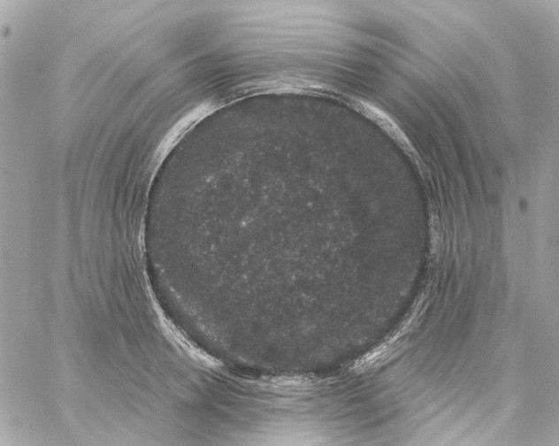 X0000059240946200510281927