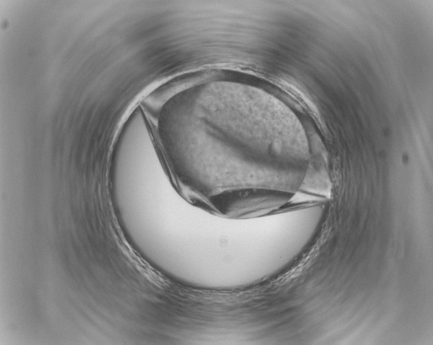 X0000059240948200510281927