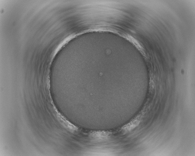 X0000059240950200510281927