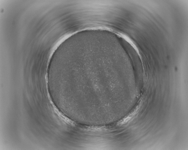 X0000059240951200510281927