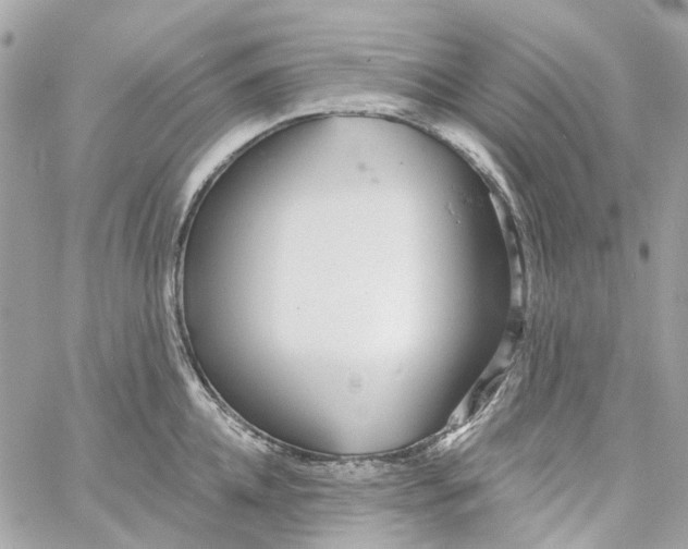 X0000059240952200510281927