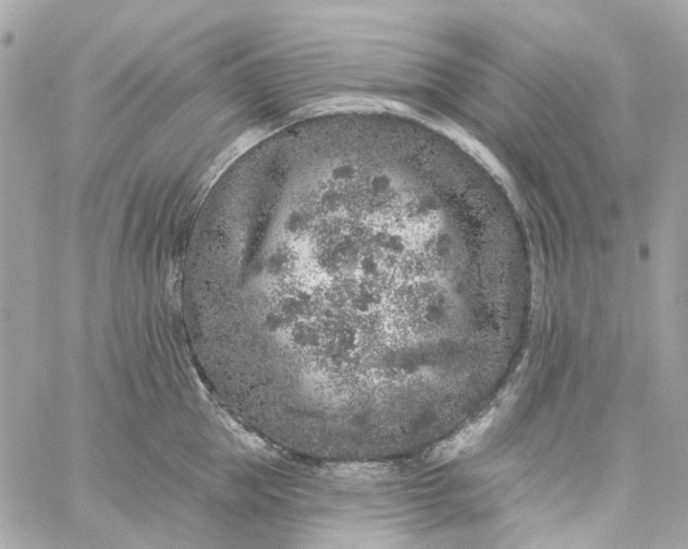 X0000059240953200510281927