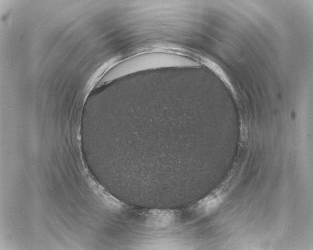 X0000059240954200510281927