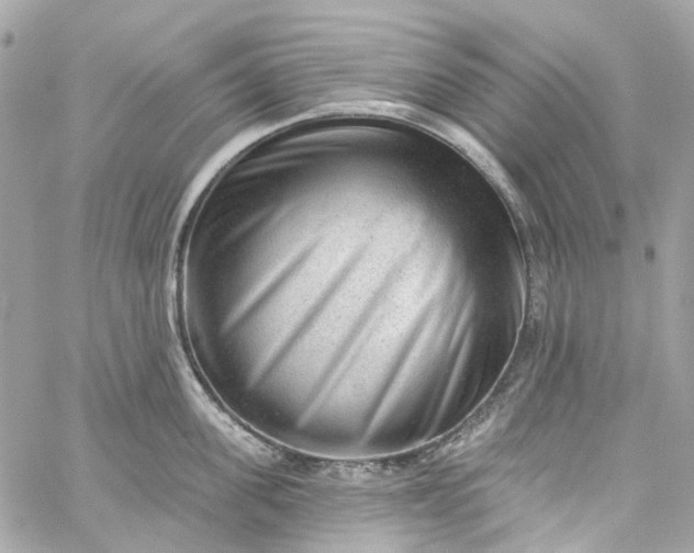 X0000059240955200510281927