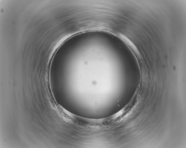 X0000059240956200510281927