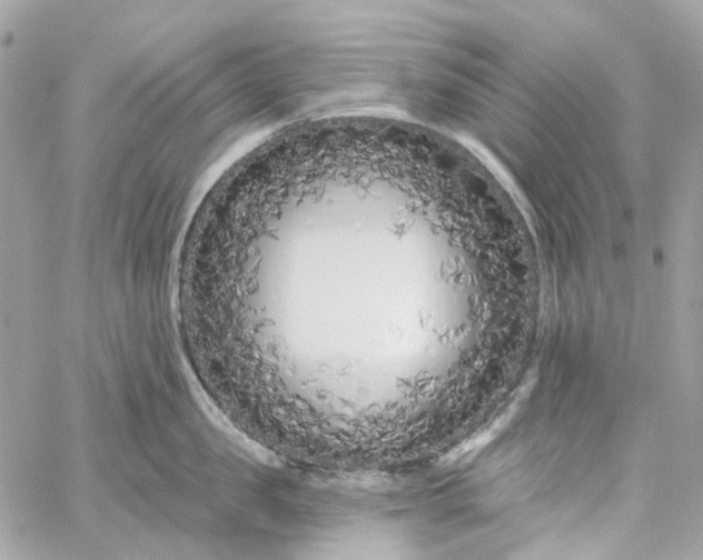 X0000059240957200510281927