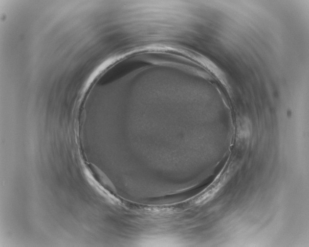 X0000059240958200510281927