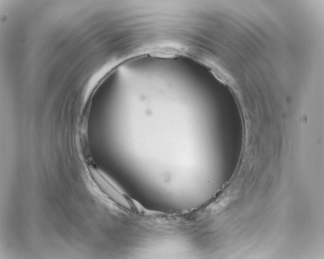 X0000059240960200510281927