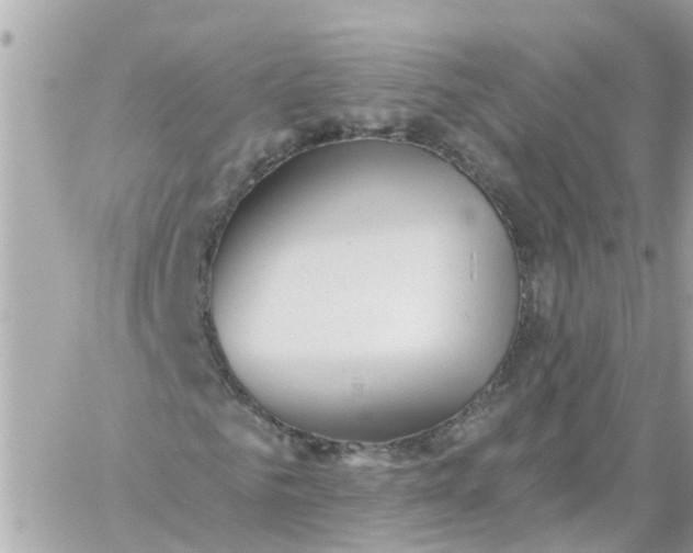 X0000059240961200510281927