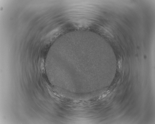 X0000059240963200510281926